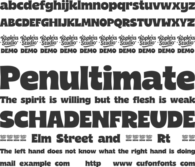 CarityDemo font preview