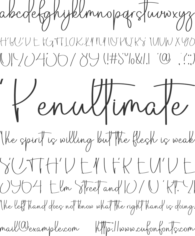 Holiday In Beach font preview
