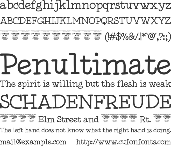 Dynasty History font preview