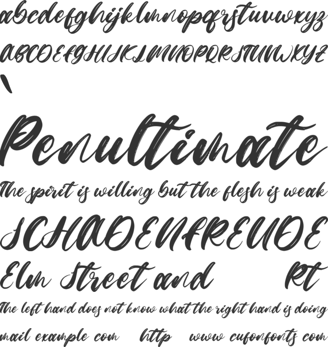 Christmas Mirelle font preview