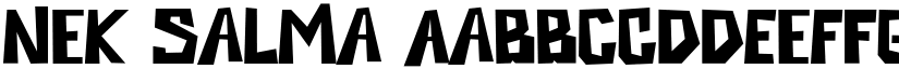 Nek Salma font