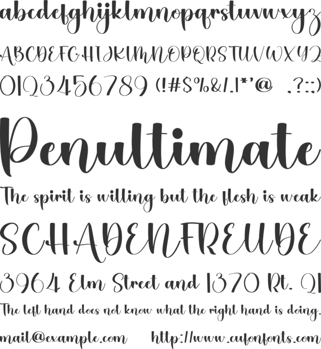Love Always font preview
