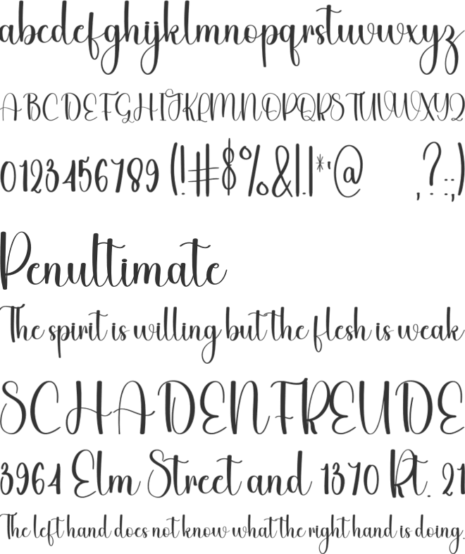 Hairstylist font preview