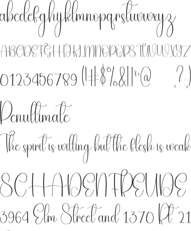 February Samantha font preview