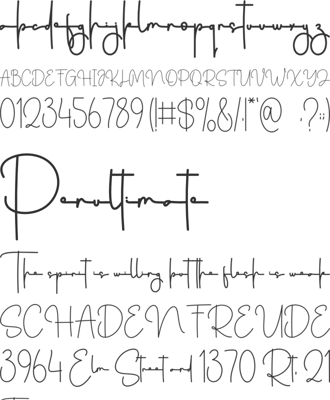 Signature Calligraph font preview