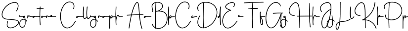 Signature Calligraph font