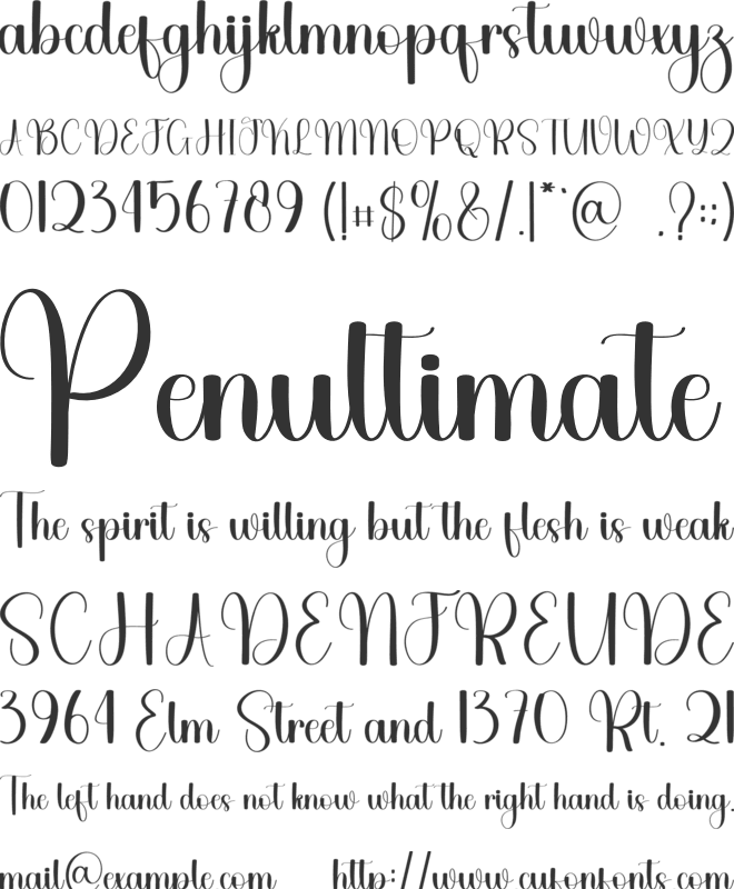 Chicken Vegetable font preview