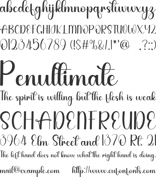 Story Beauty font preview