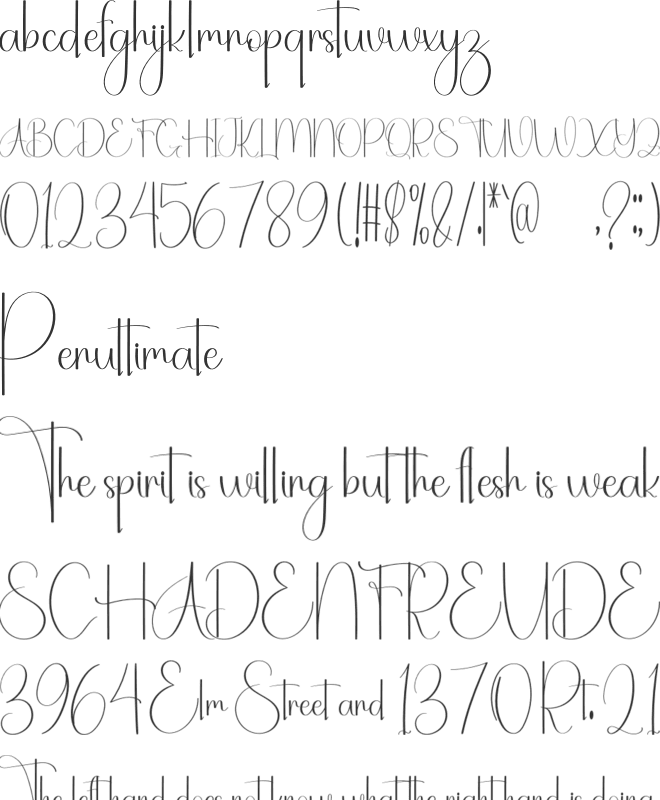 Santa Autography font preview