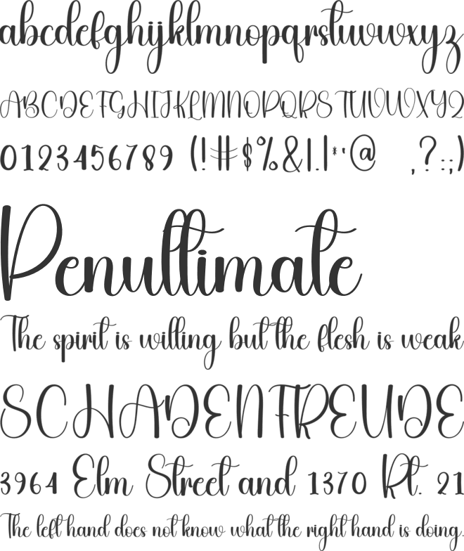 Stylish Valentine font preview