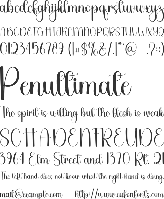 Jungle Cruise font preview