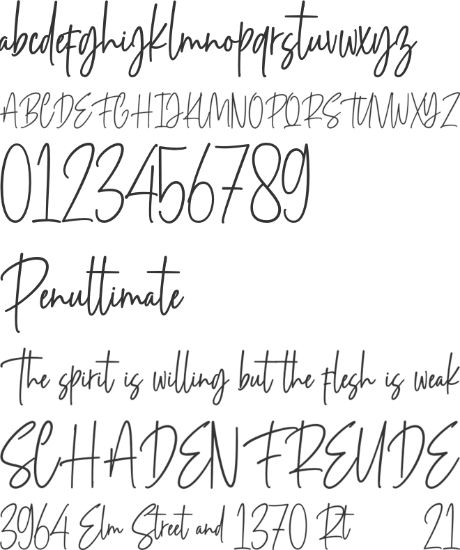 Holigans font preview