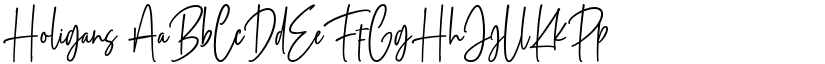 Holigans font