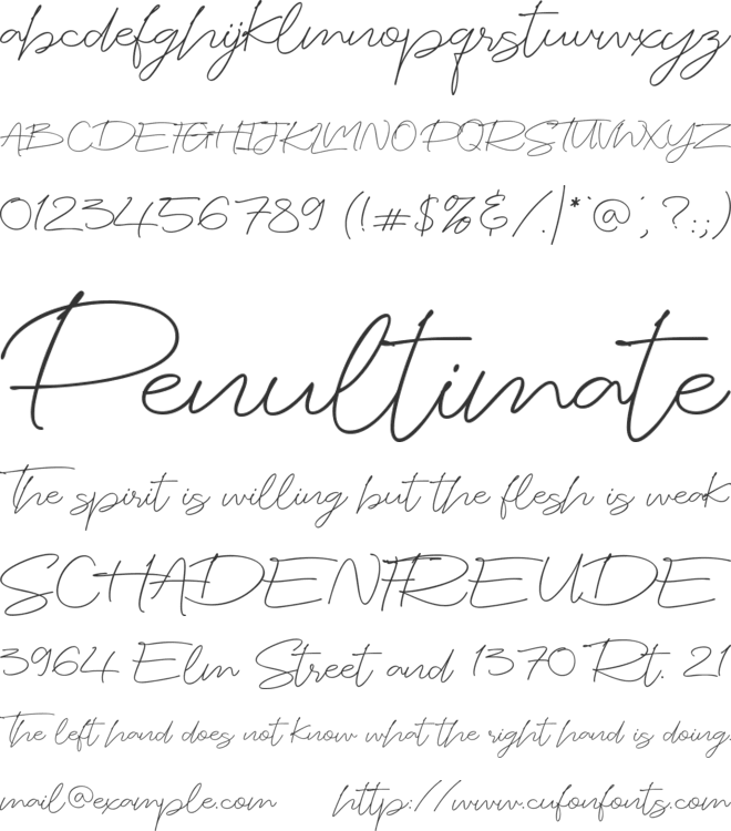 Steadfast Valerio font preview