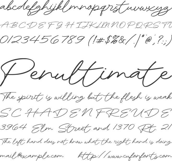 Rhetorical Flourish font preview