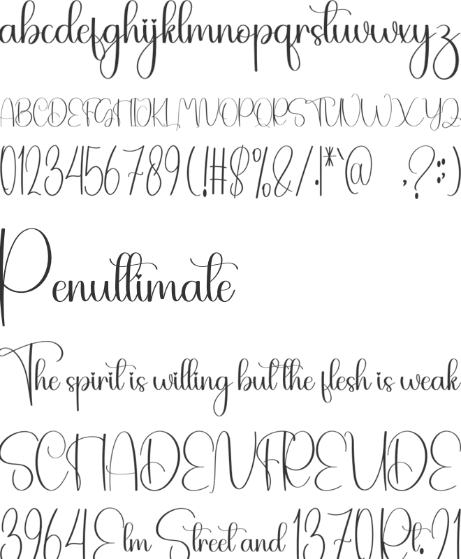 Staycation Snowman font preview