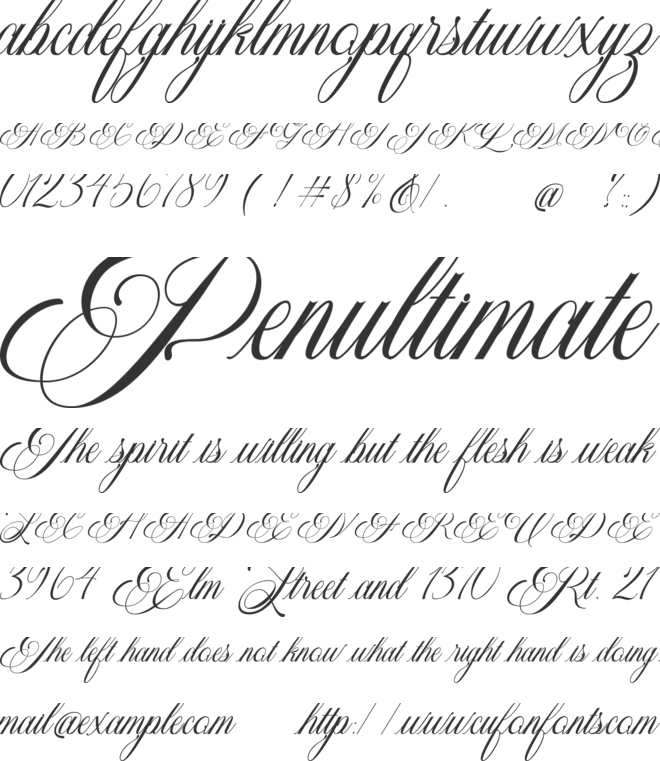 Aventalia Script font preview