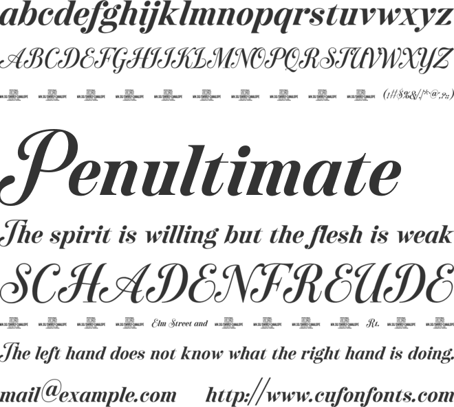 Swirly Canalope PERSONAL USE font preview