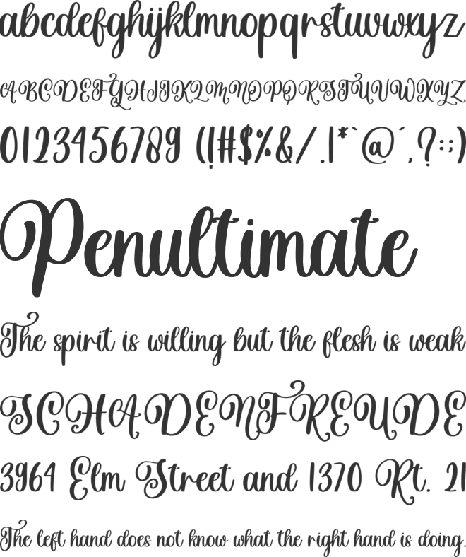 FS Christmas Story font preview