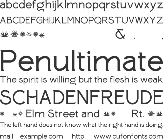 Paterna font preview