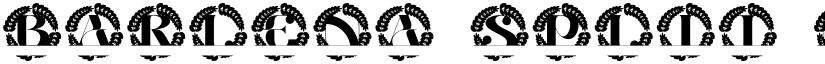 Barlena Split Monogram font download