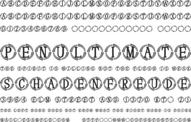 Darlowe Monogram font preview