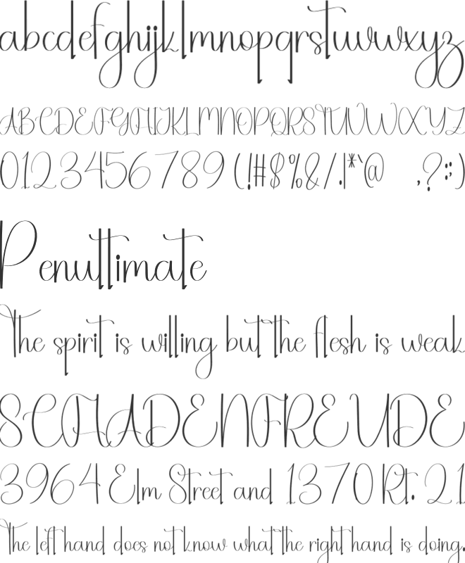 Snowing Christmas font preview