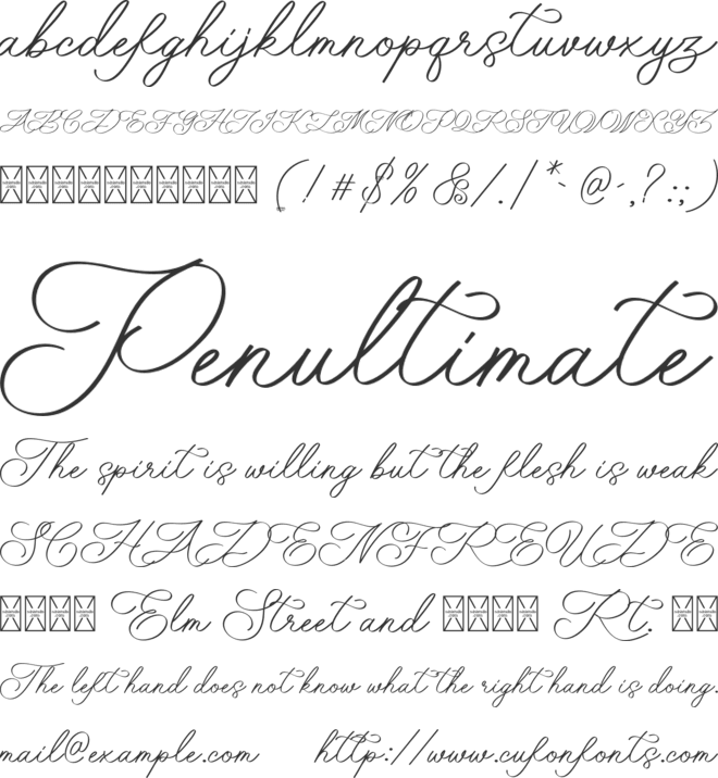 Neraly font preview
