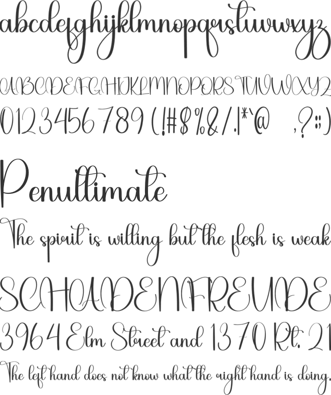 Boho Beauty font preview