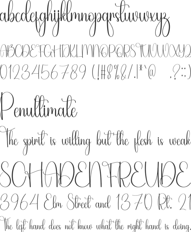 Blustina font preview