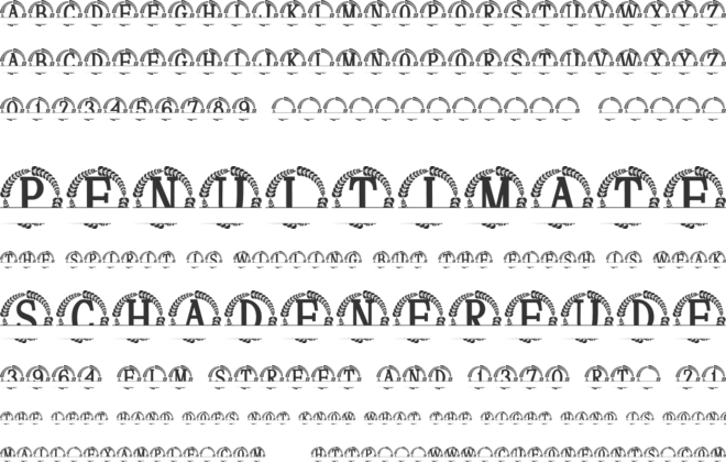 Darlowe Split Monogram font preview