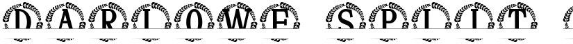 Darlowe Split Monogram font
