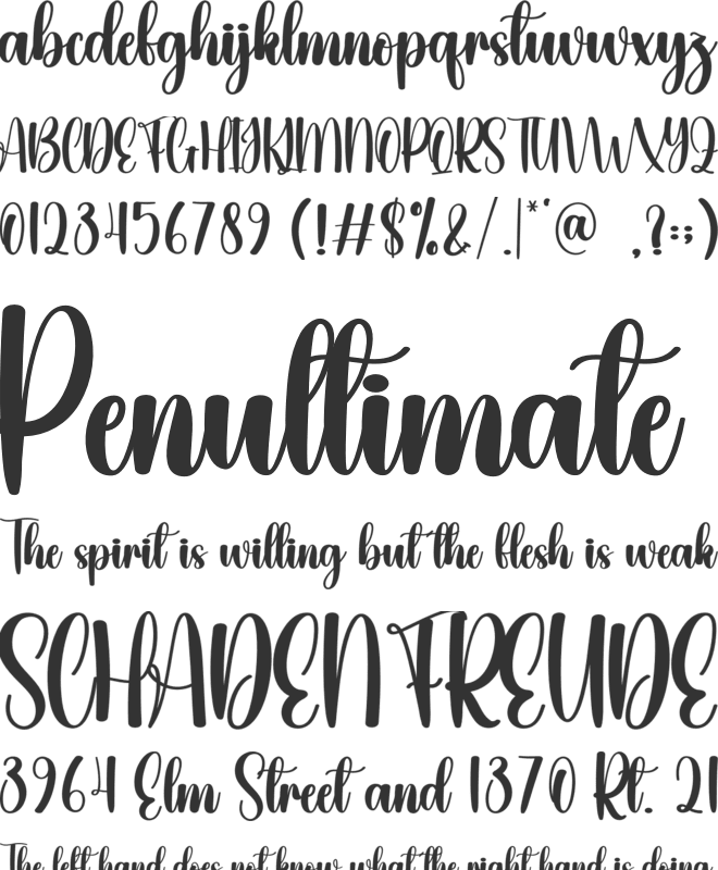 Anything font preview