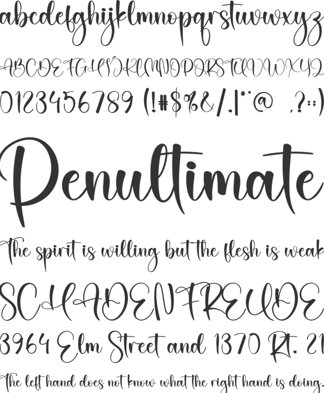 Husband font preview