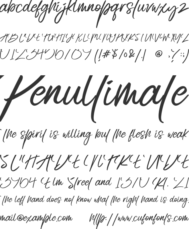 Radicalis font preview