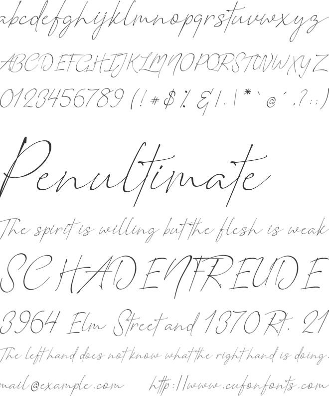 Romantic Couple font preview