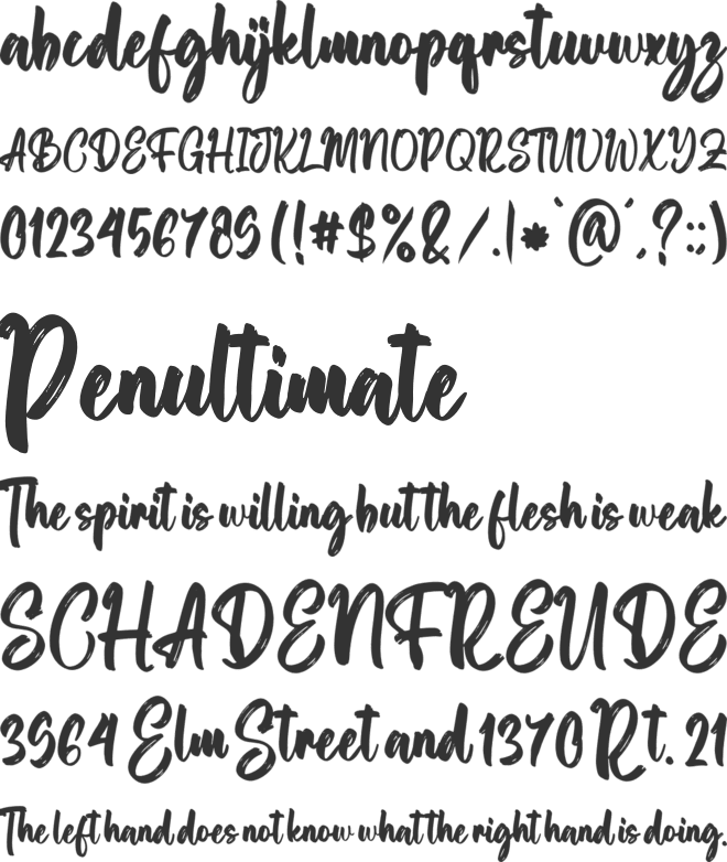 Gafinte font preview