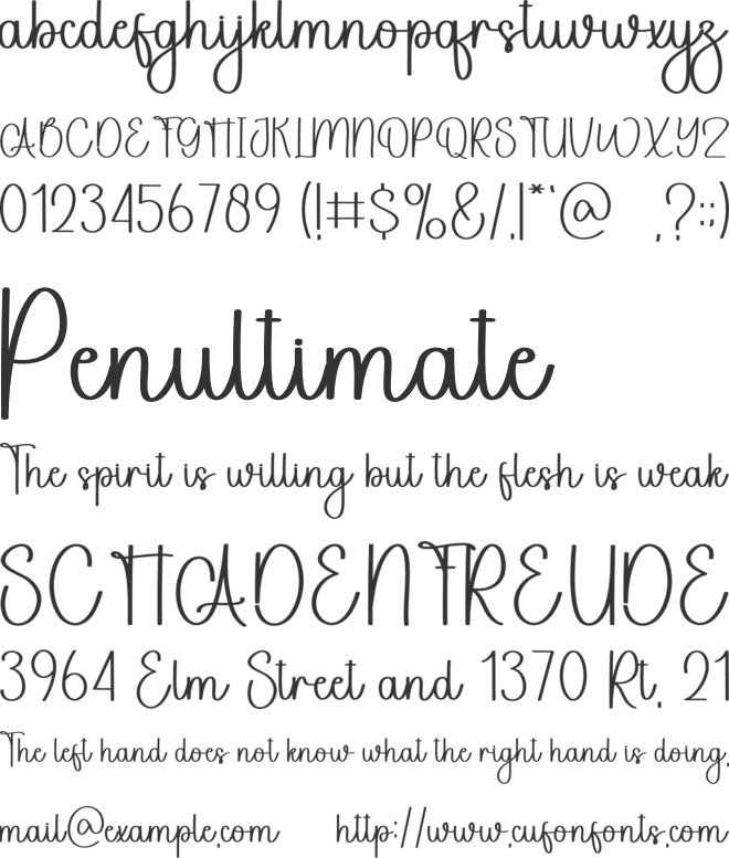 Signature Wedding font preview