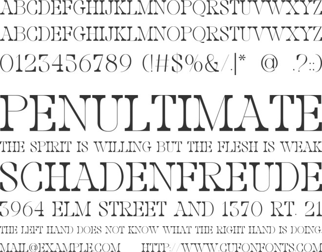 The True Collage font preview