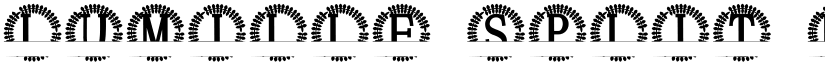 Lumille Split Monogram font