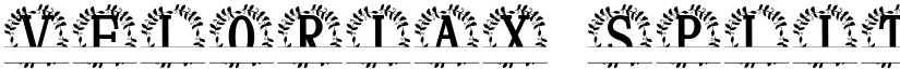 Veloriax Split Monogram font