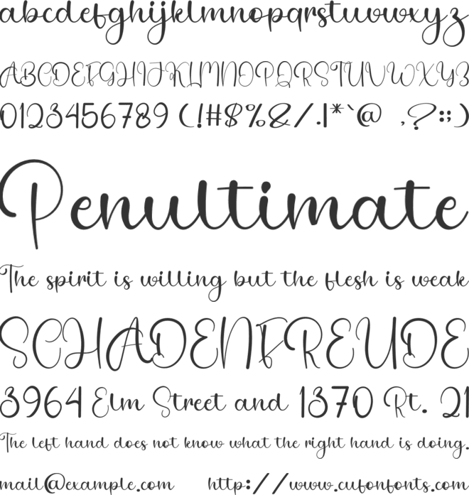 Beach Avocado font preview