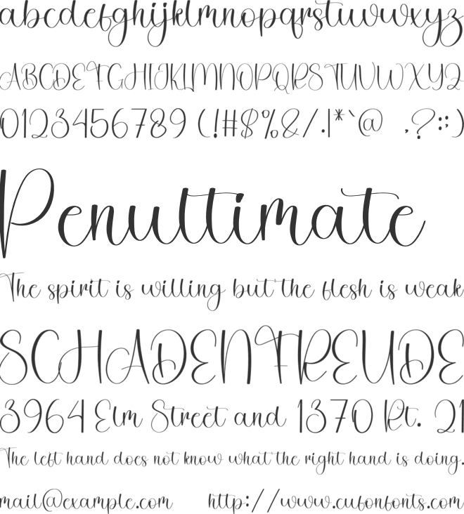 Vocation Autography font preview