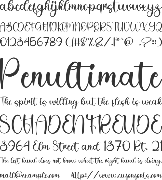 Tourista Coffee font preview