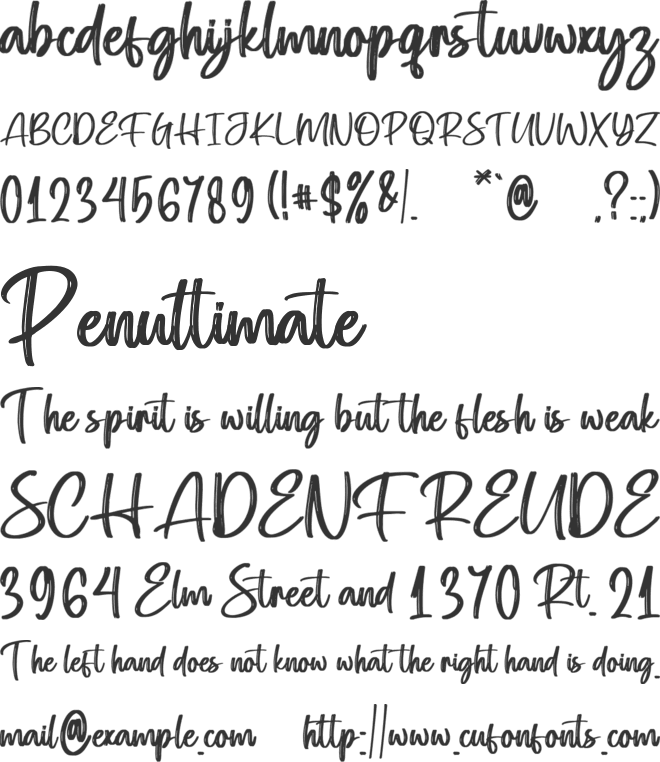 Faithfuly font preview