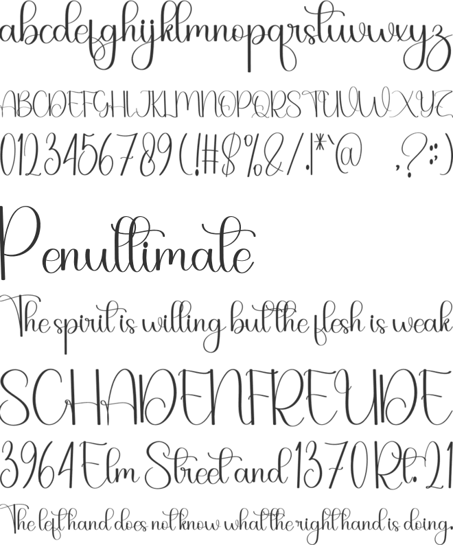 Snowline font preview