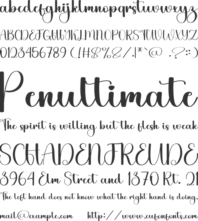 Vintage Magnolia font preview