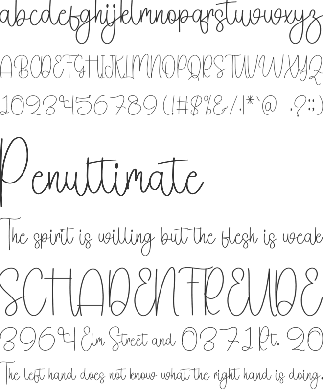 Stay Wonderful font preview