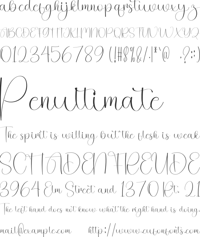 Holiday Mountain font preview