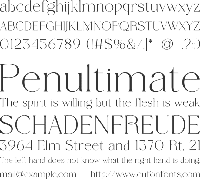 Wolmer font preview